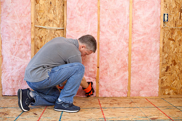 Best Basement Insulation  in Shoh, IL